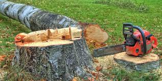 Best Firewood Processing and Delivery  in Huntington, UT